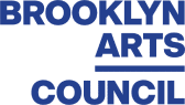 brooklyn arts council - top notch dezigns