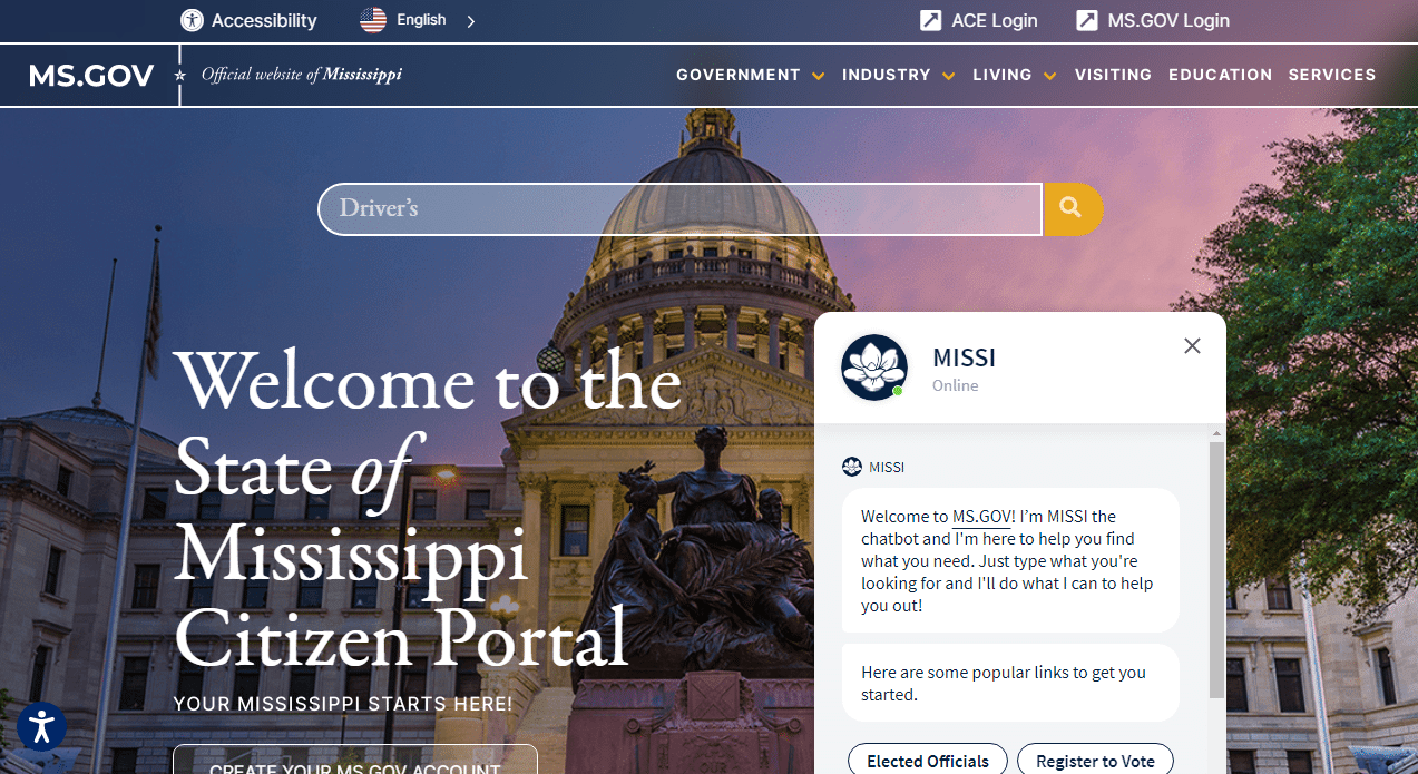 local government web design