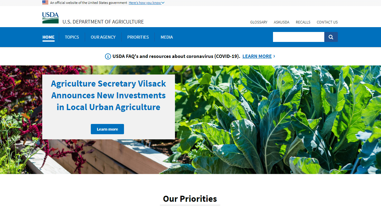 government website design companies